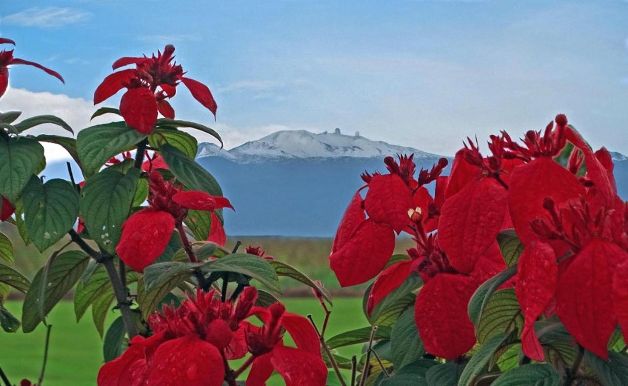 Ocean View Mauna Loa Shores Kai Ekahi #201 Next To Carlsmith Beach Park Hilo Hi Exterior photo