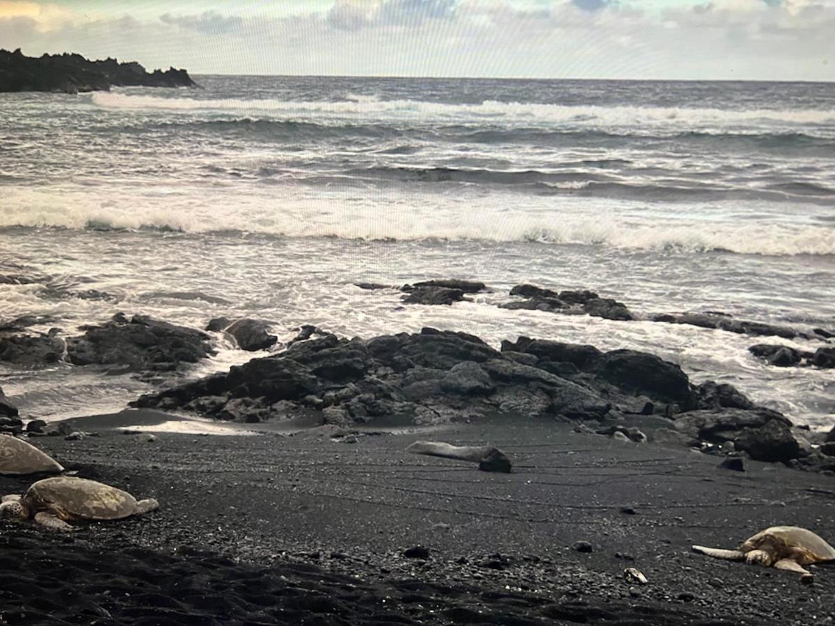 Ocean View Mauna Loa Shores Kai Ekahi #201 Next To Carlsmith Beach Park Hilo Hi Exterior photo