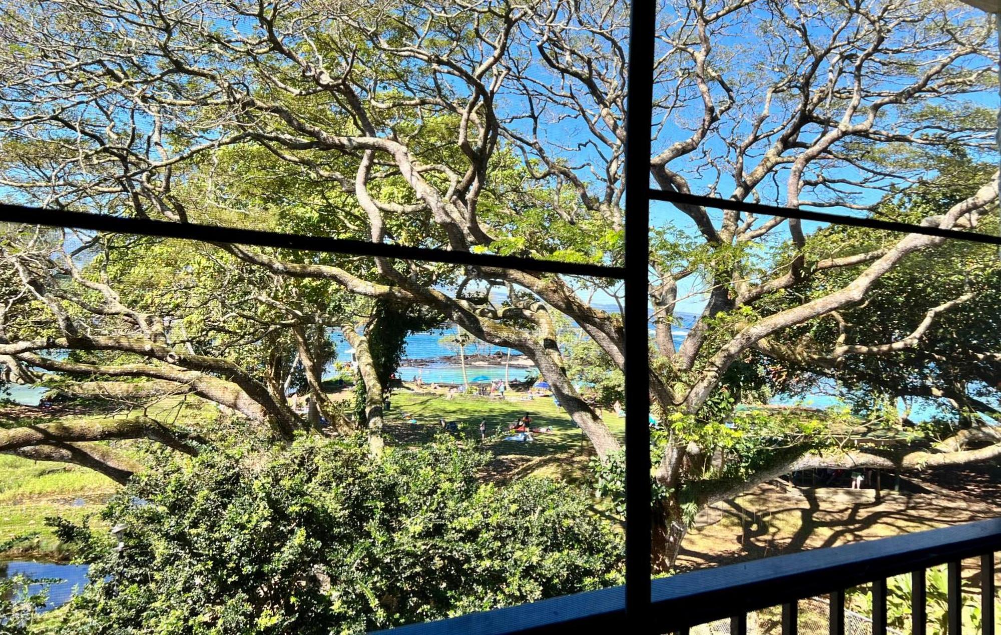 Ocean View Mauna Loa Shores Kai Ekahi #201 Next To Carlsmith Beach Park Hilo Hi Exterior photo