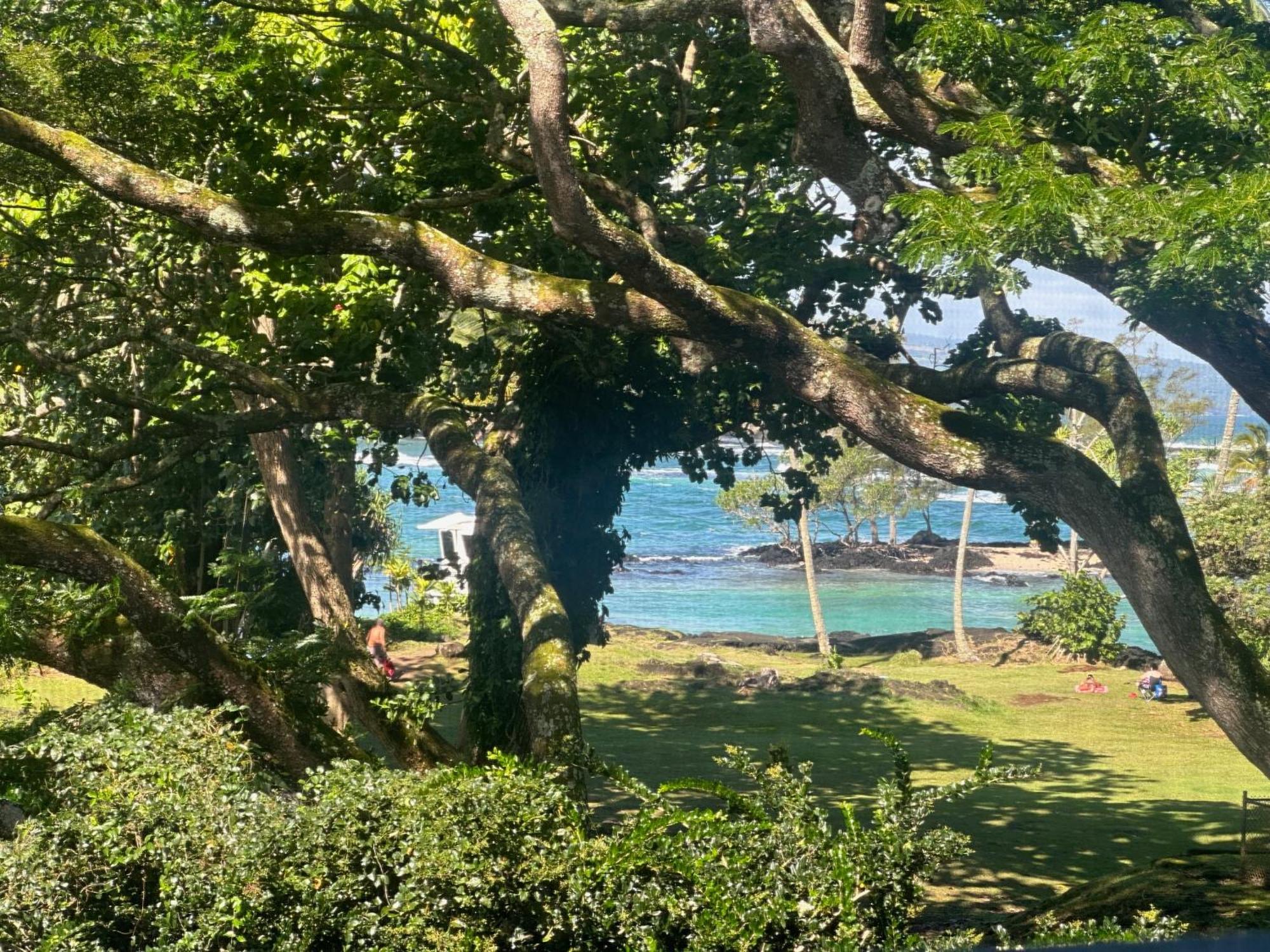 Ocean View Mauna Loa Shores Kai Ekahi #201 Next To Carlsmith Beach Park Hilo Hi Exterior photo